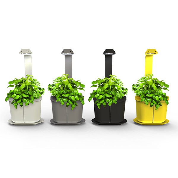 Indoor garden GENIE white 3 plants