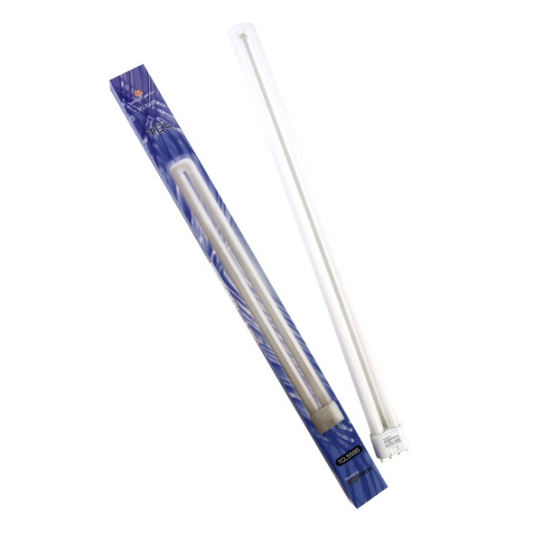 Secret Jardin - Fluo TCL 55W 3800LU 9500K° Stecklinge