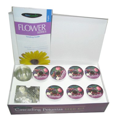 petunias seeds kit