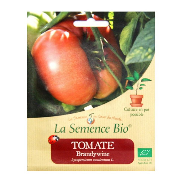 La Semence Bio - Brandywine Tomate