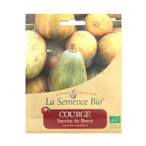 Semi biologici - Zucca di bacche