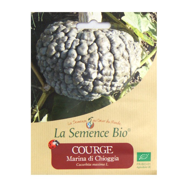 La Semence Bio - Calabaza marina de chioggia