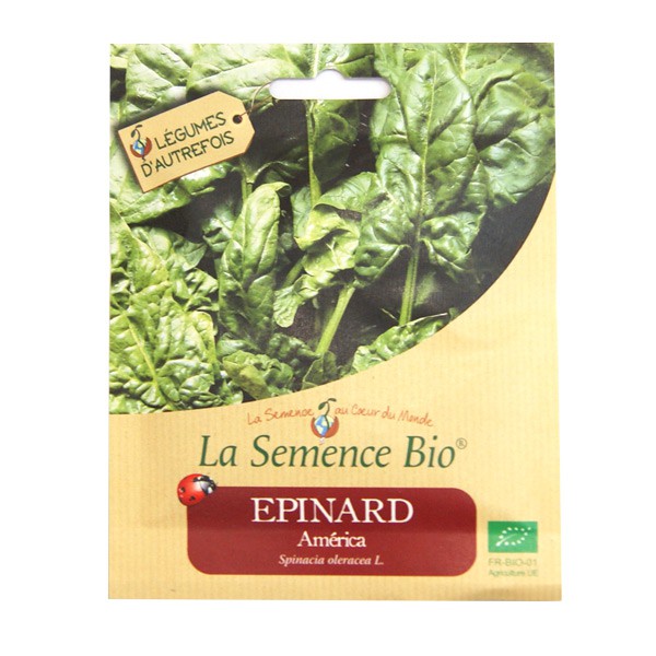 La Semence Bio - Epinard America