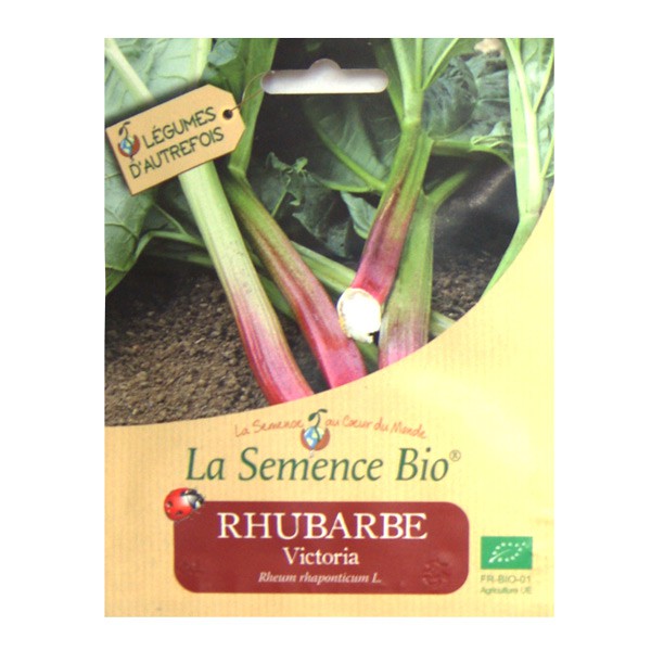 La Semence Bio - Rhubarbe Victoria