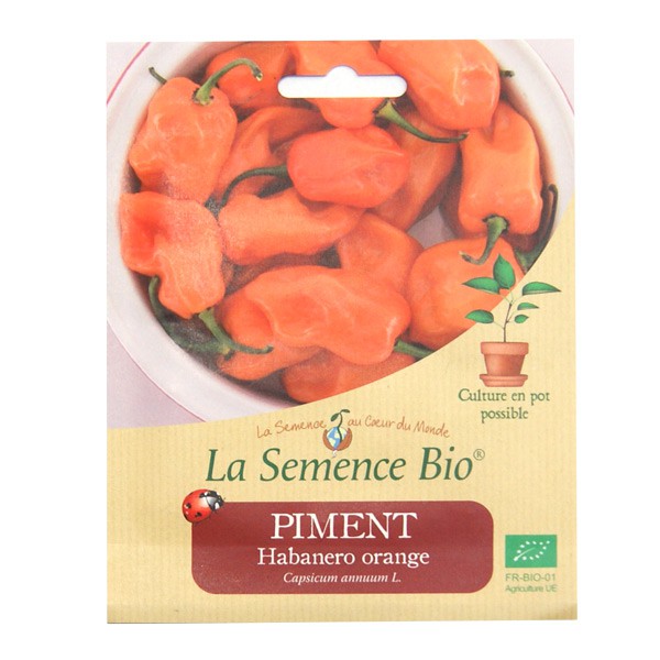 La Semence Bio - Habareno Pimiento Naranja