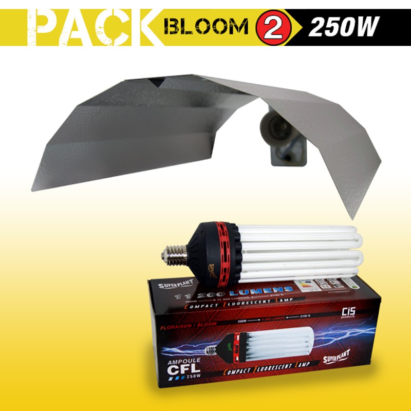 KIT lampe CFL 250W FLORAISON 2