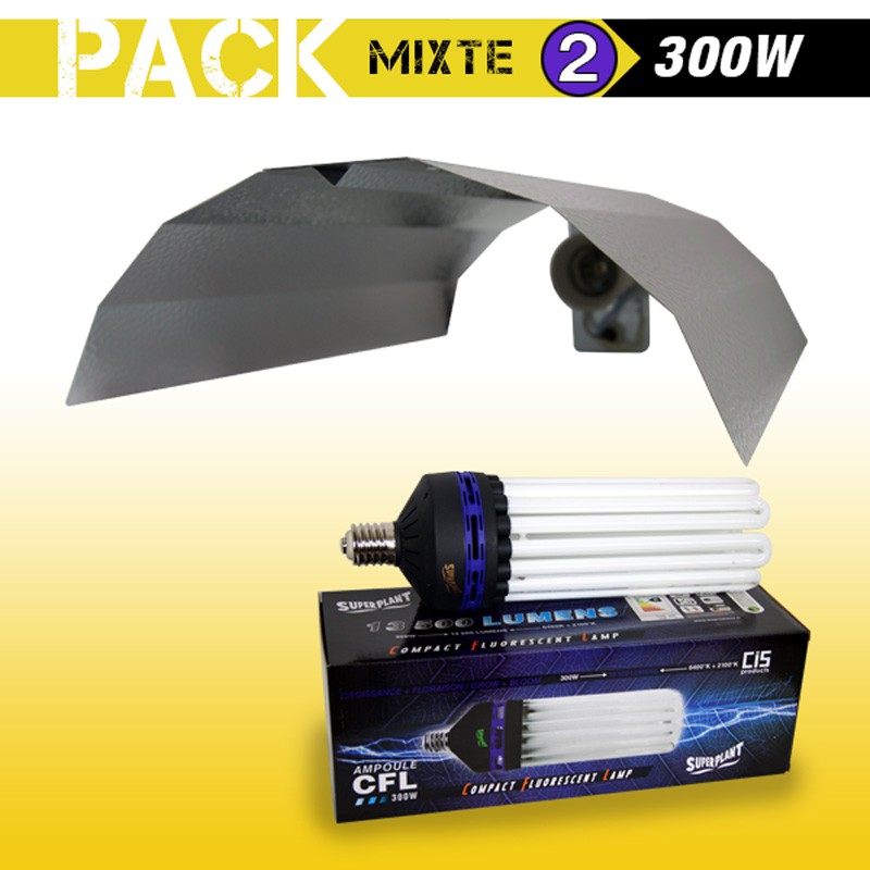 KIT lampe CFL 300W MIXTE 2