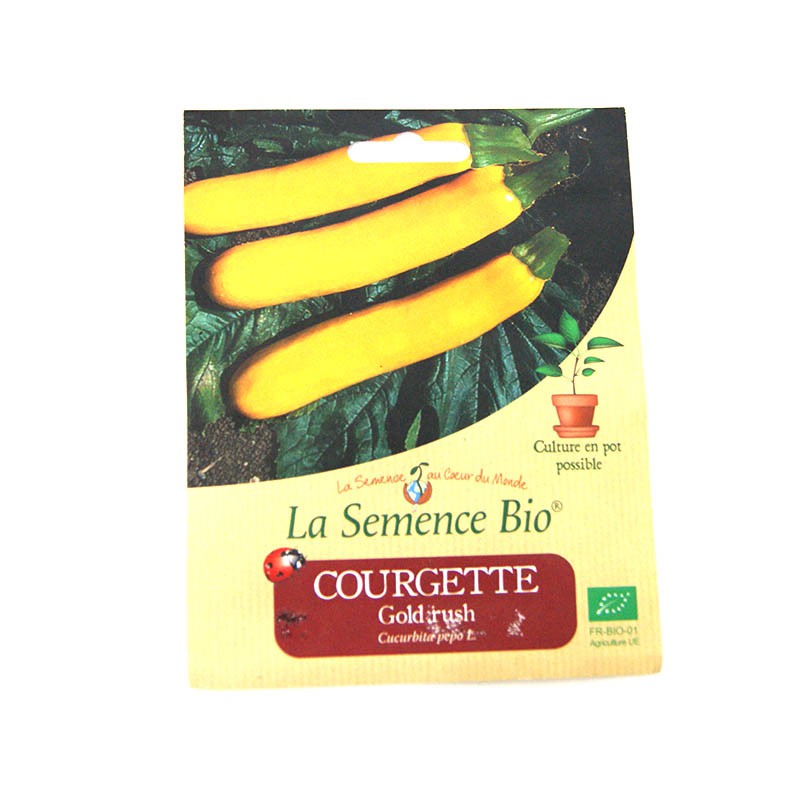 La Semence Bio - La corsa all'oro delle zucchine