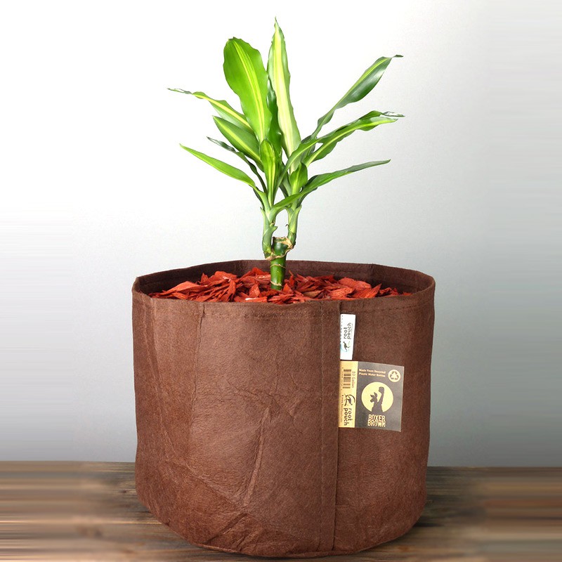 ROOT POUCH 65 246 L BROWN 81W X 45.5H