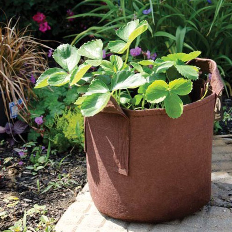 ROOT POUCH 7 30 L BROWN 35W X 30H AVEC ANSES