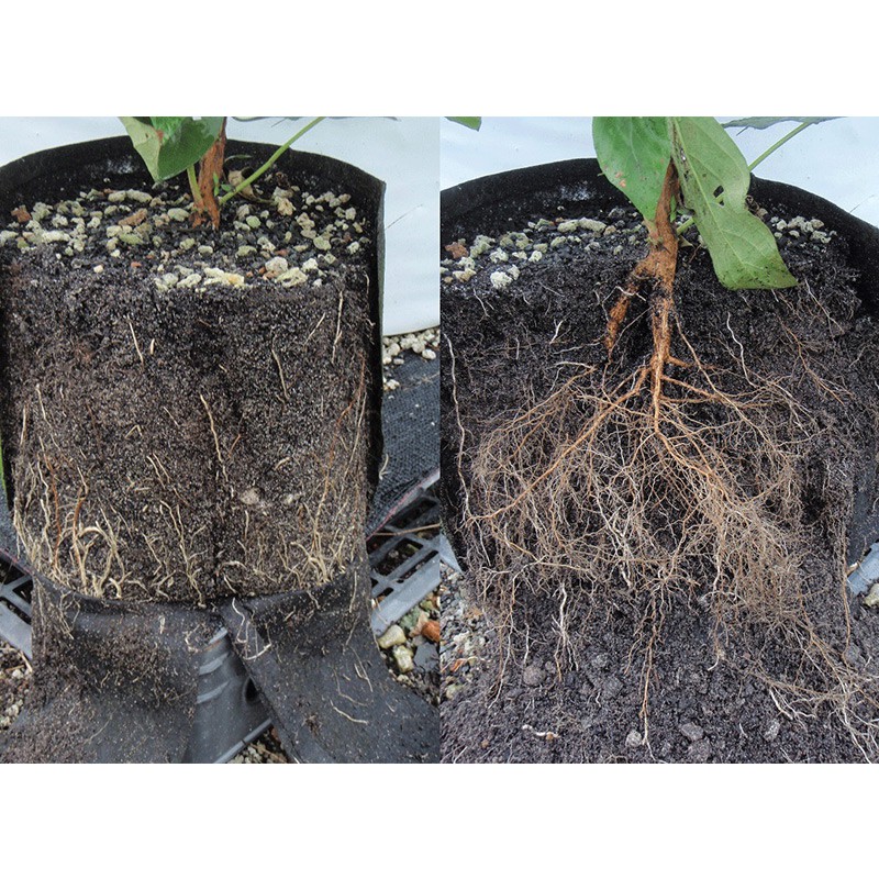 ROOT POUCH 1 3.8L GREY 15W X 19 H