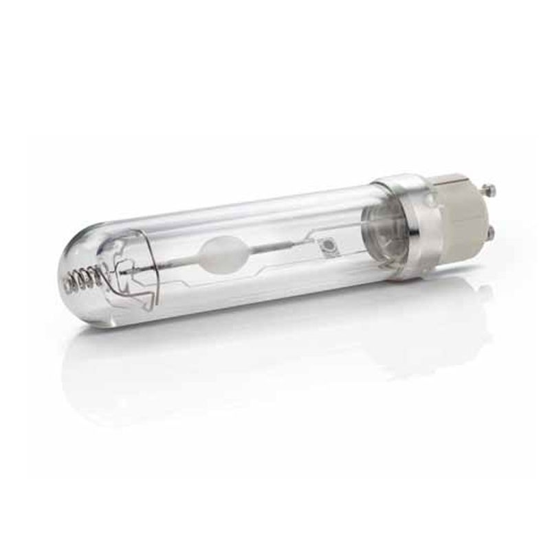 Philips - CMH Master Color EL Agro Blüte Glühbirne - 315W