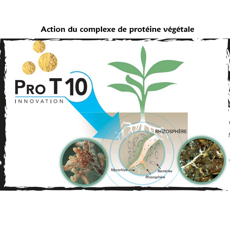 420 Organics - Pure Grow and Bloom 5Kg