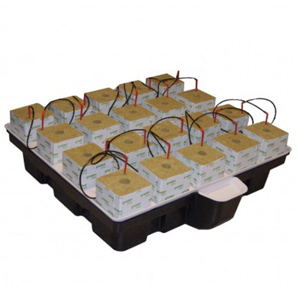 Platinium - HydroStone - 20 cubi - 100 x 100 x 38,5 cm - MJ 500 - Sistema idroponico