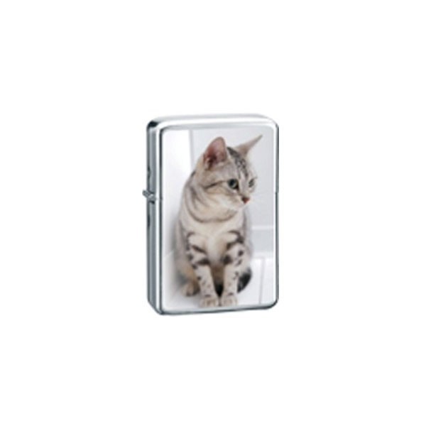 Belflam Oil - Briquet essence chat gris modèle 4