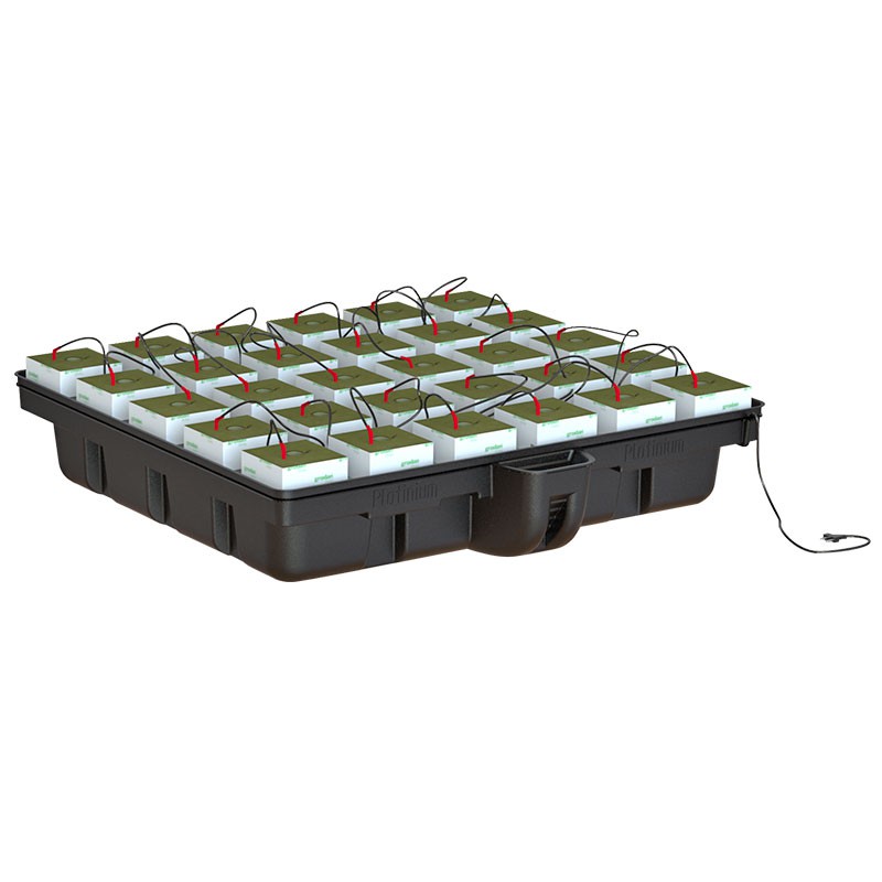 Platinium - HydroStone - 30 cubes - 120 x 120 x 38,5cm - MJ 1000 - Système hydroponique