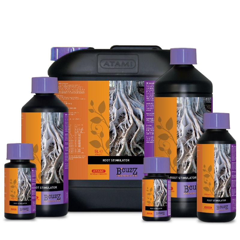 BCUZZ ROOT 5L FR