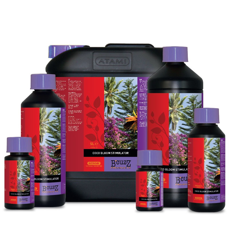 BCUZZ COCO BLOOM 100ML EN