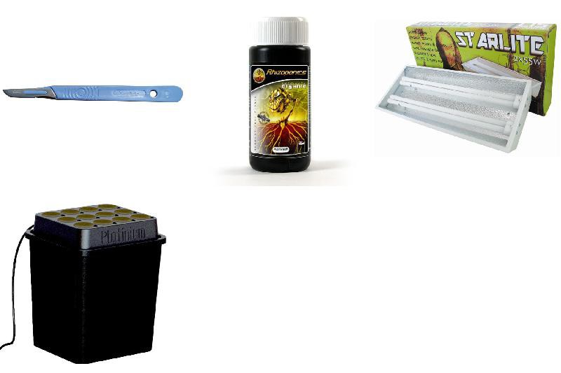 Pack Bouturage Pro 12 Supercloner 2X55W