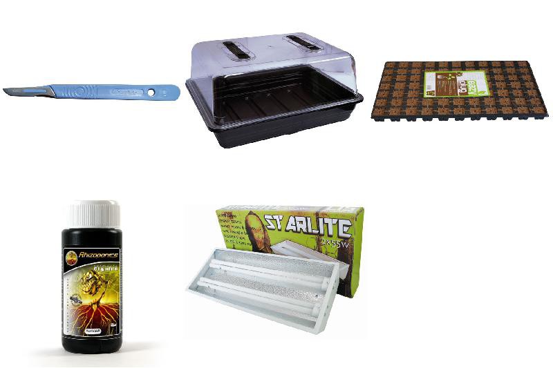 Pack Bouturage Eco 77 Coco 2X55W