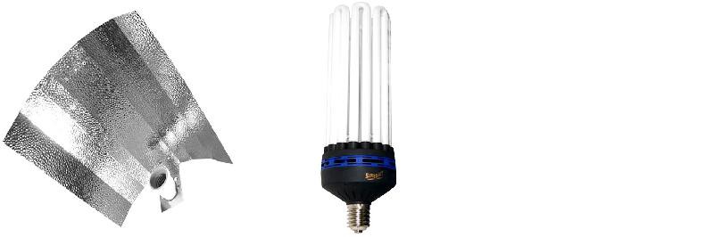 KIT lampe CFL 250W CROISSANCE 1