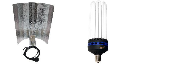 KIT lampe CFL 250W CROISSANCE 2