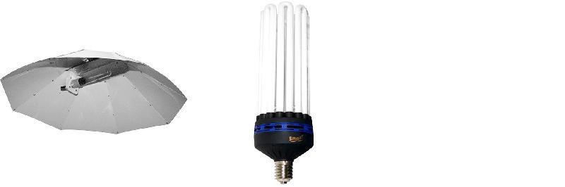 KIT lampe CFL 250W CROISSANCE 4