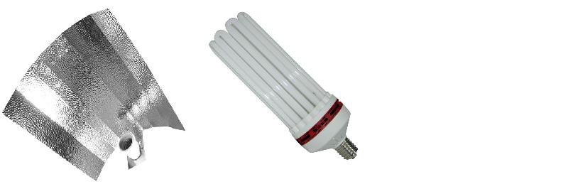KIT lampe CFL 300W FLORAISON 1