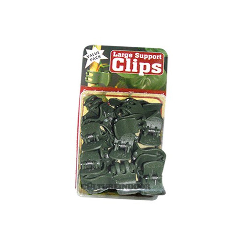 CLIPS piante, orchidee, KAKI GRANDE x4PCS