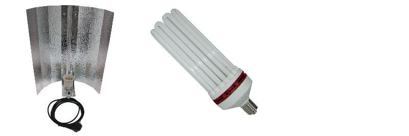 KIT lampe CFL 300W FLORAISON 2