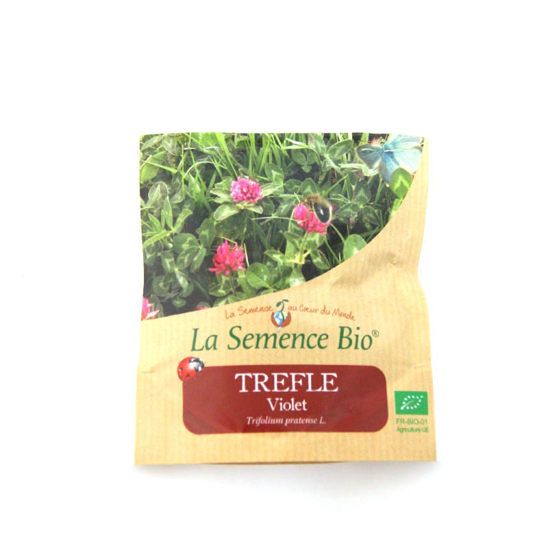 La Semence Bio - Violette Kleeblätter