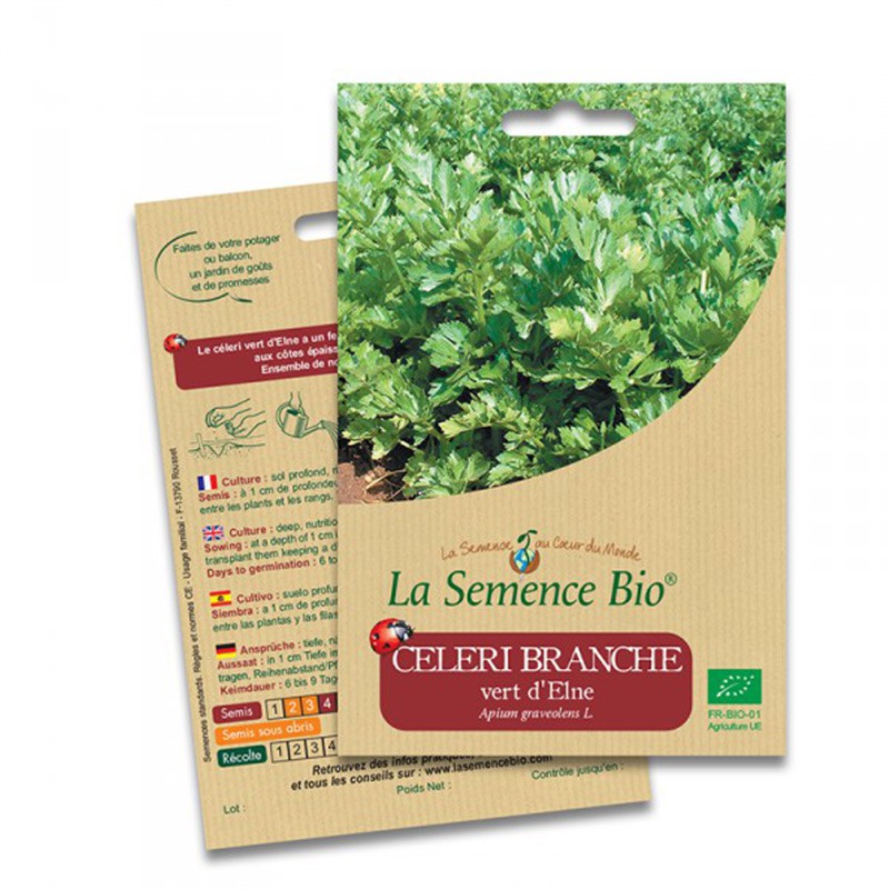 La Semence Bio - White celery green of Elne