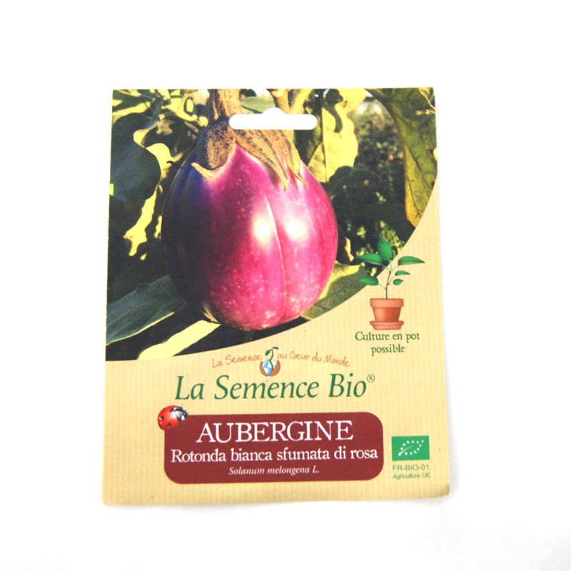 La Semence Bio - Melanzana rotonda bianca di rosa