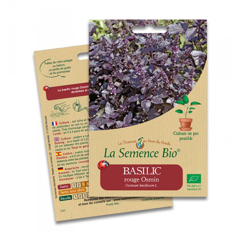 La semence bio - Graines de basilic rouge osmin 150 graines