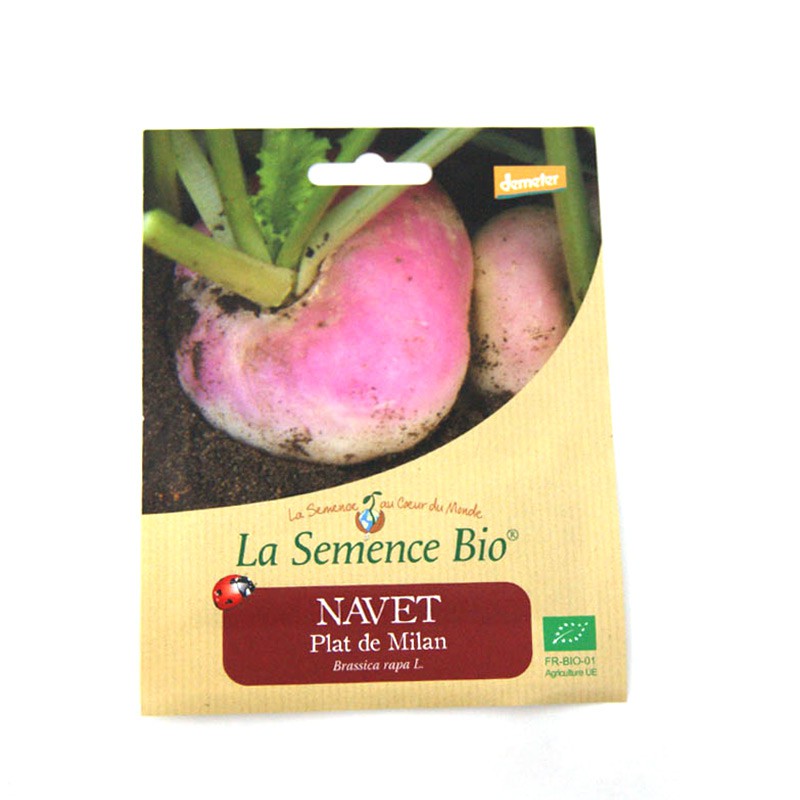 La Semence Bio - Nabo de Milán