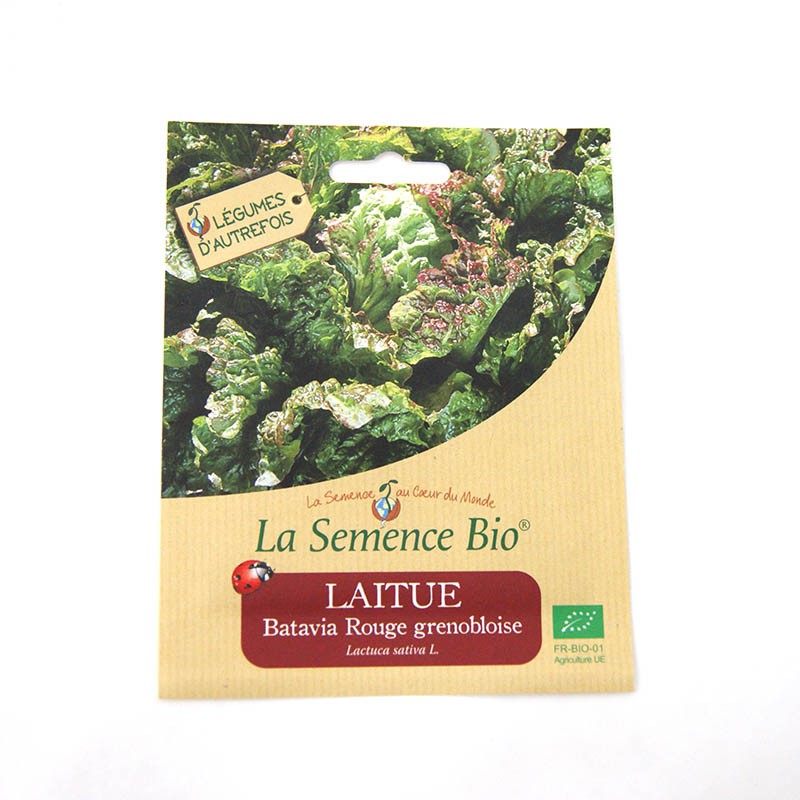La Semence Bio - Grenoble red batavia lettuce