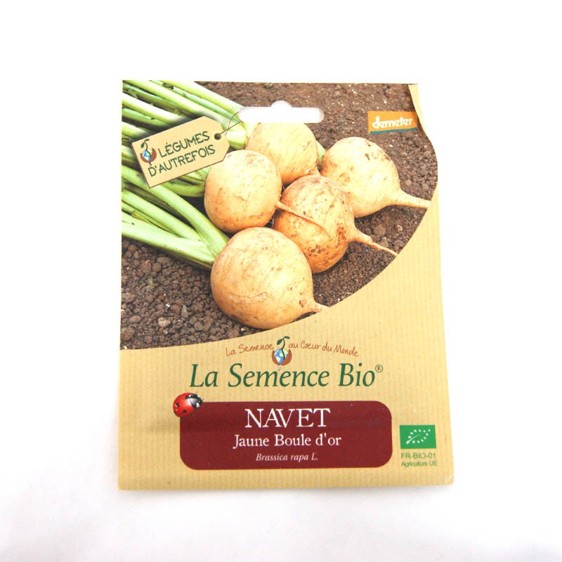 La Semence Bio - Nabo bola de ouro
