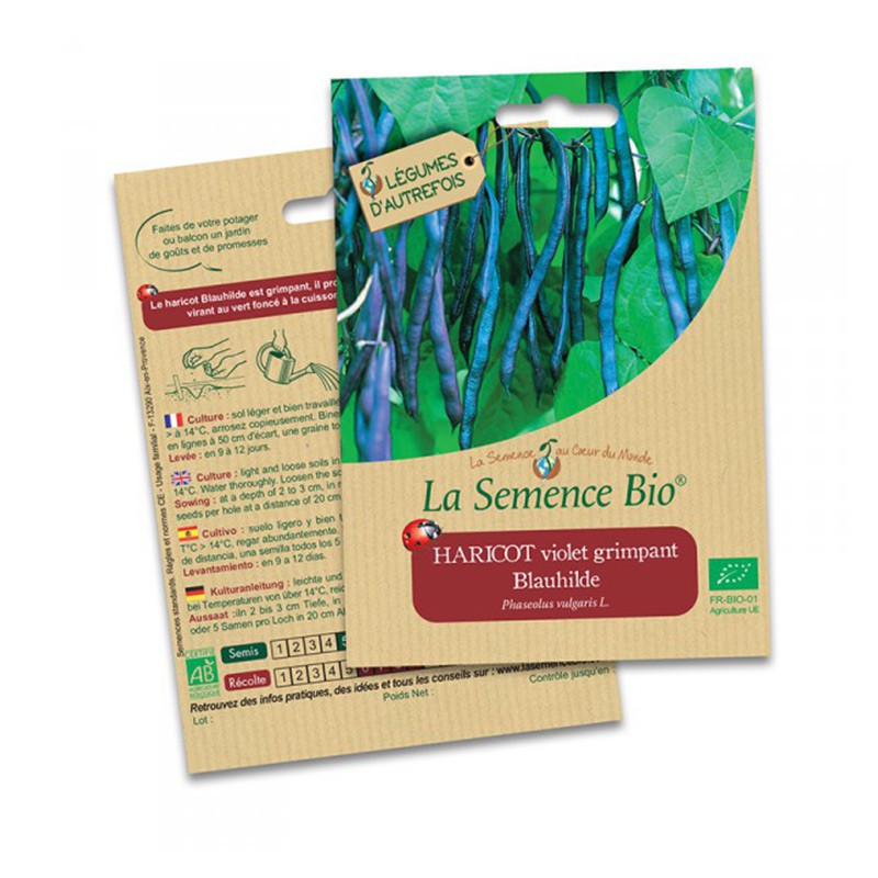 La Semence Bio - Blauhilde string bean