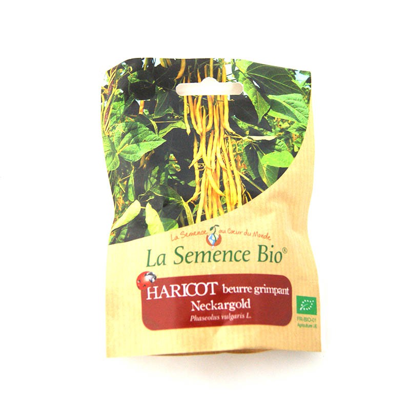 La Semence Bio - Fagiolo burro rampicante Neckargold
