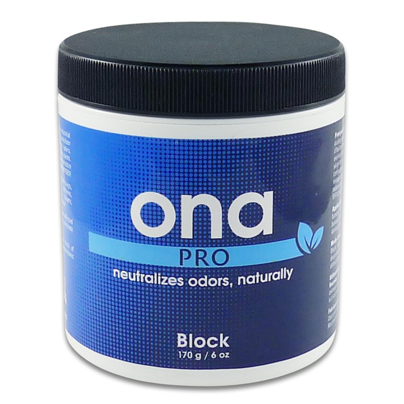 Destructeur d'odeur ONA PRO Block 170 g