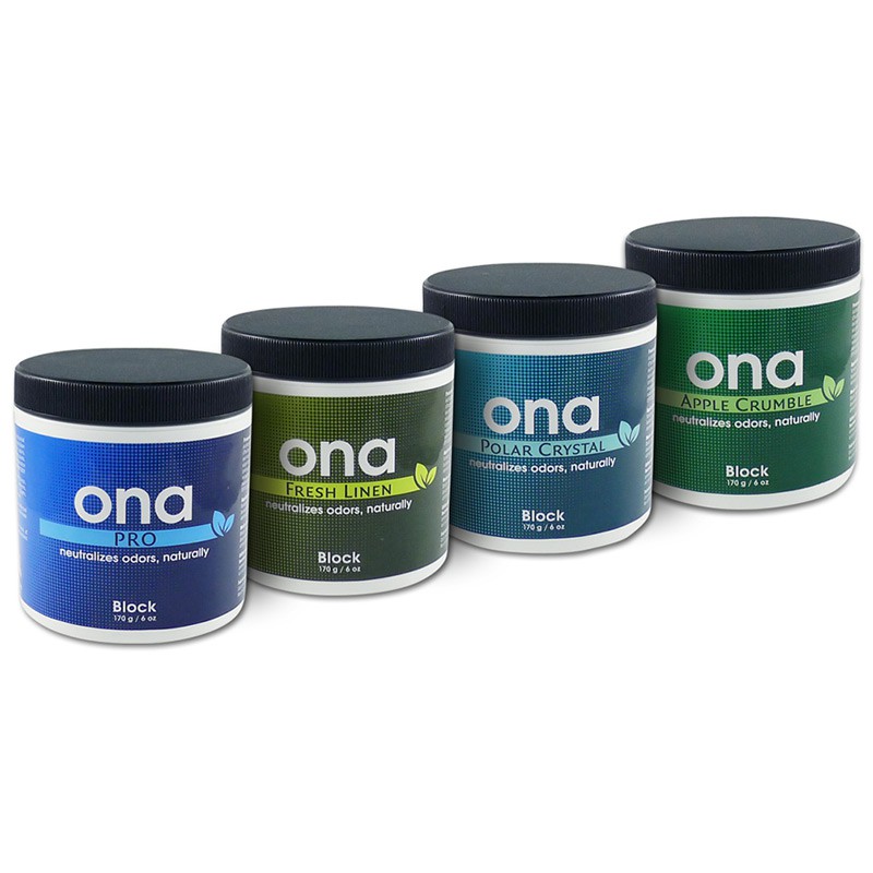 Destructeur d'odeur ONA PRO Block 170 g
