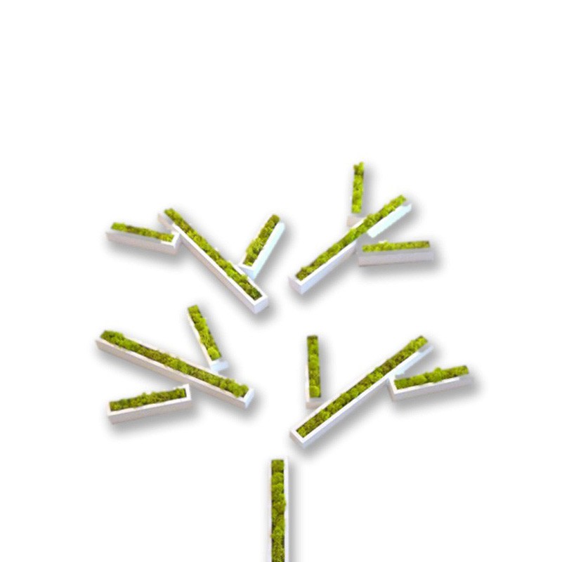 tableau végétal Stickers végétaux en lichen blanc laqué