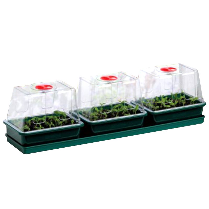 Trio Di Mini Serre 76X18,5X20,5 Cm Ghirlanda