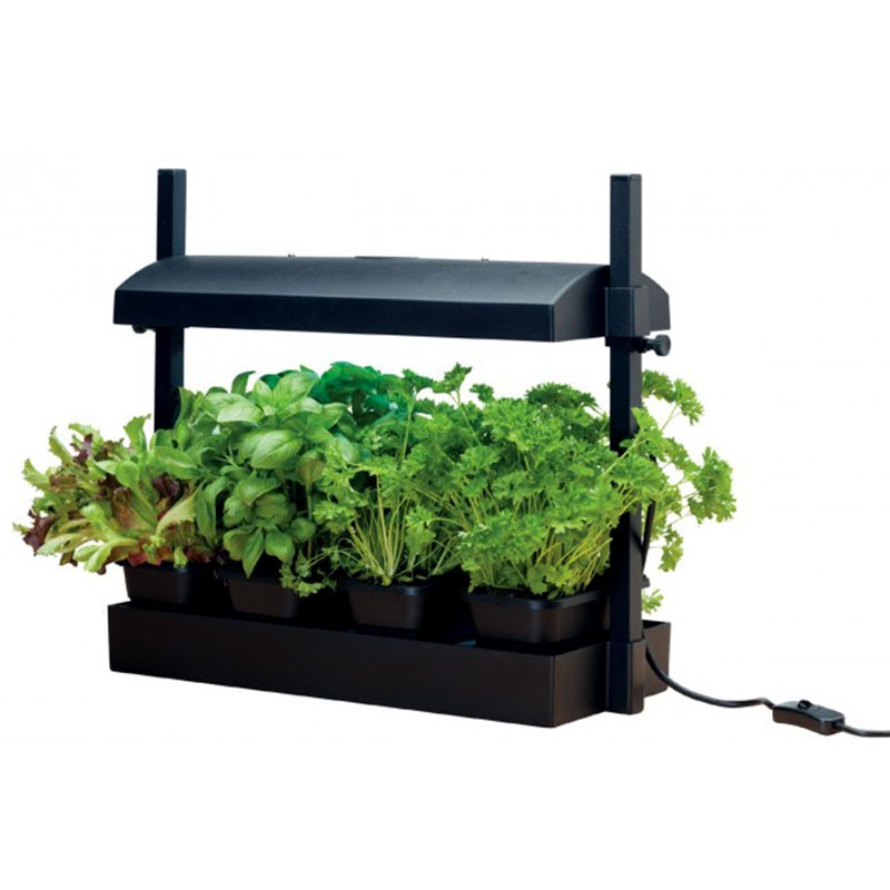 MICRO Potager JARDIN de cuisine NOIR AVEC LAMPE 11W GARLAND