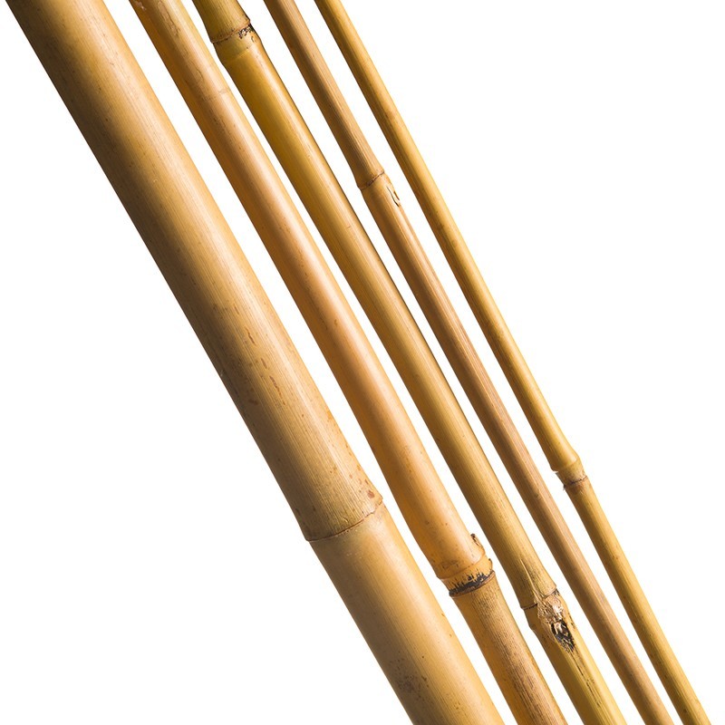 10 Tuteurs Bambou Naturel - H60 Cm Ø6-8 Mm