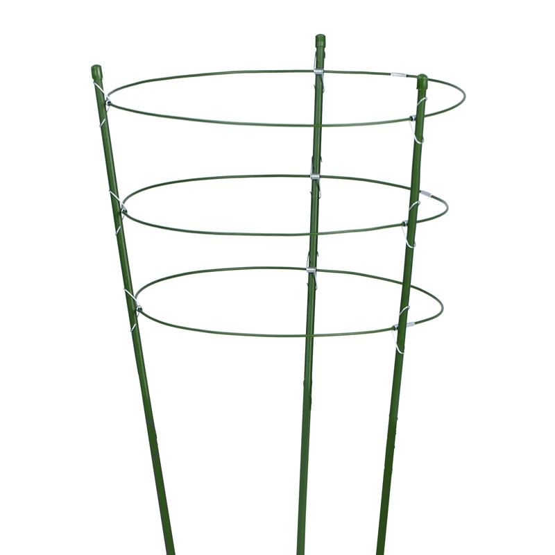 3 Rings stakes and supports in green plasticized steel for plants and beds - H60cmxØ7mm