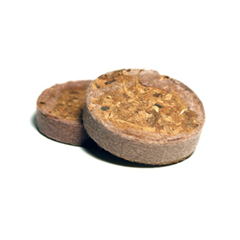 Ugro - Lot de 24 Plug Coco