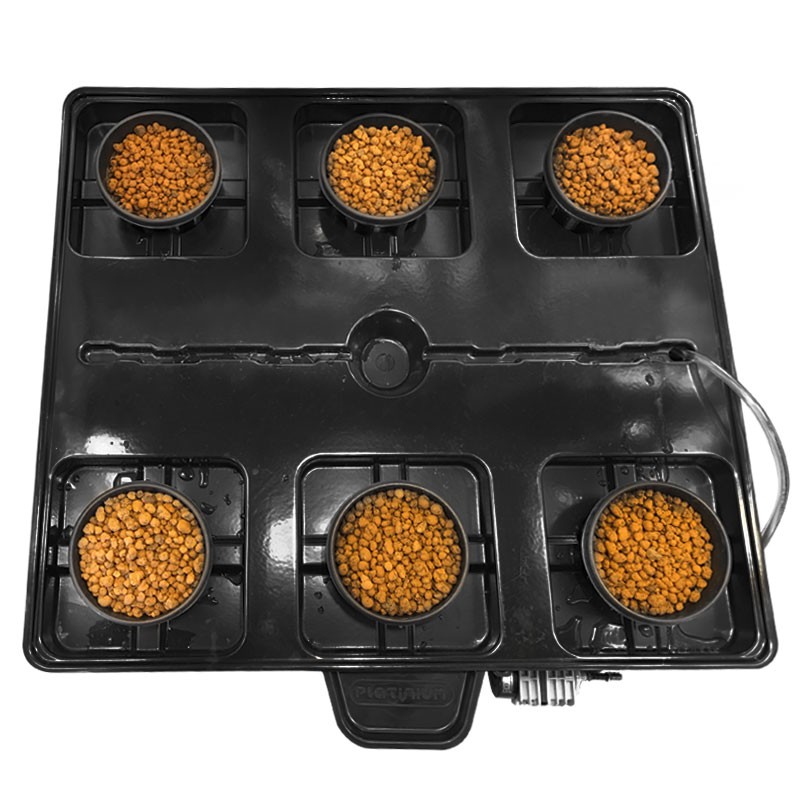 PLATINIUM DWC PRO 6 (90 LTR)