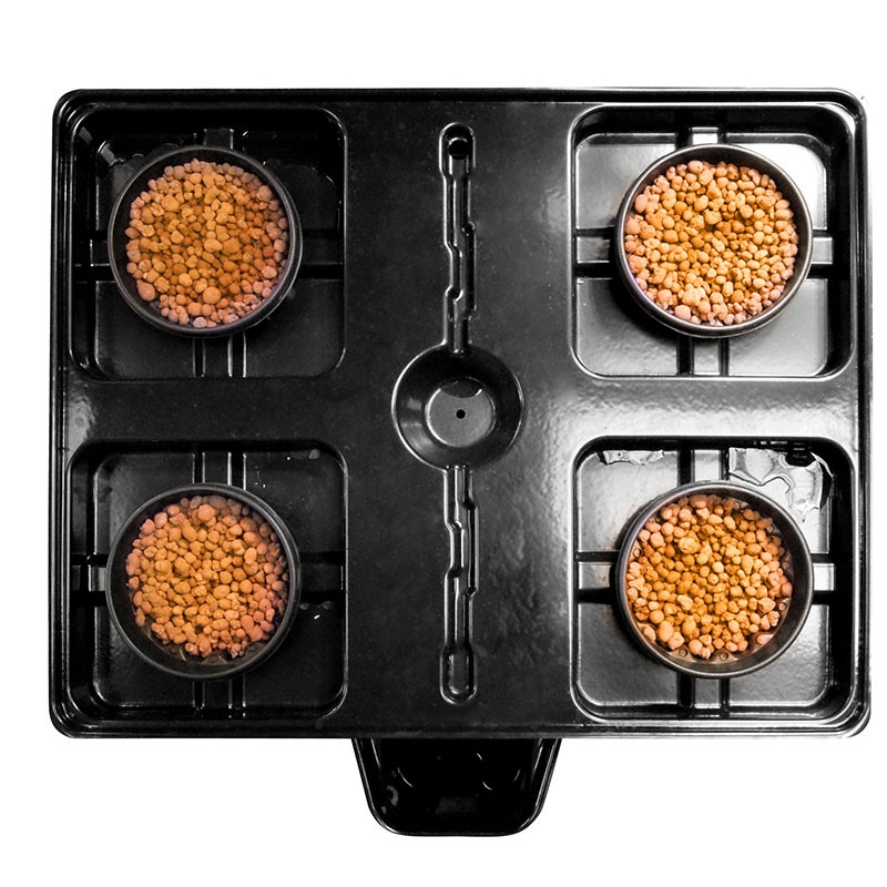 PLATINO DWC PRO 4 (50 LTR)