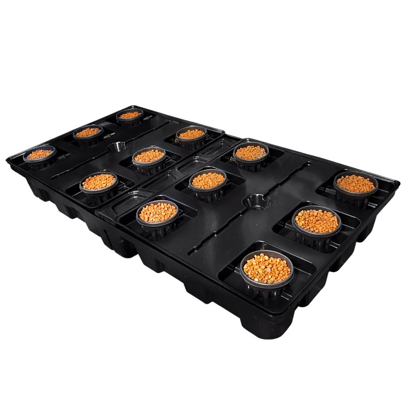 Platinium - DWC PRO 12 plantes - 200x100 - Système aéroponique
